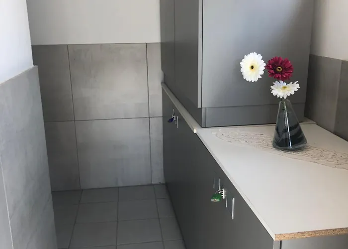 Flamants Roses 2 Kemping *